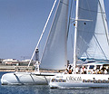 Catamarà Orsom