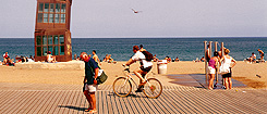 Beaches