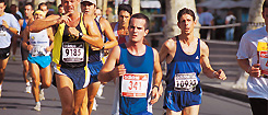 Barcelona Sports calendar